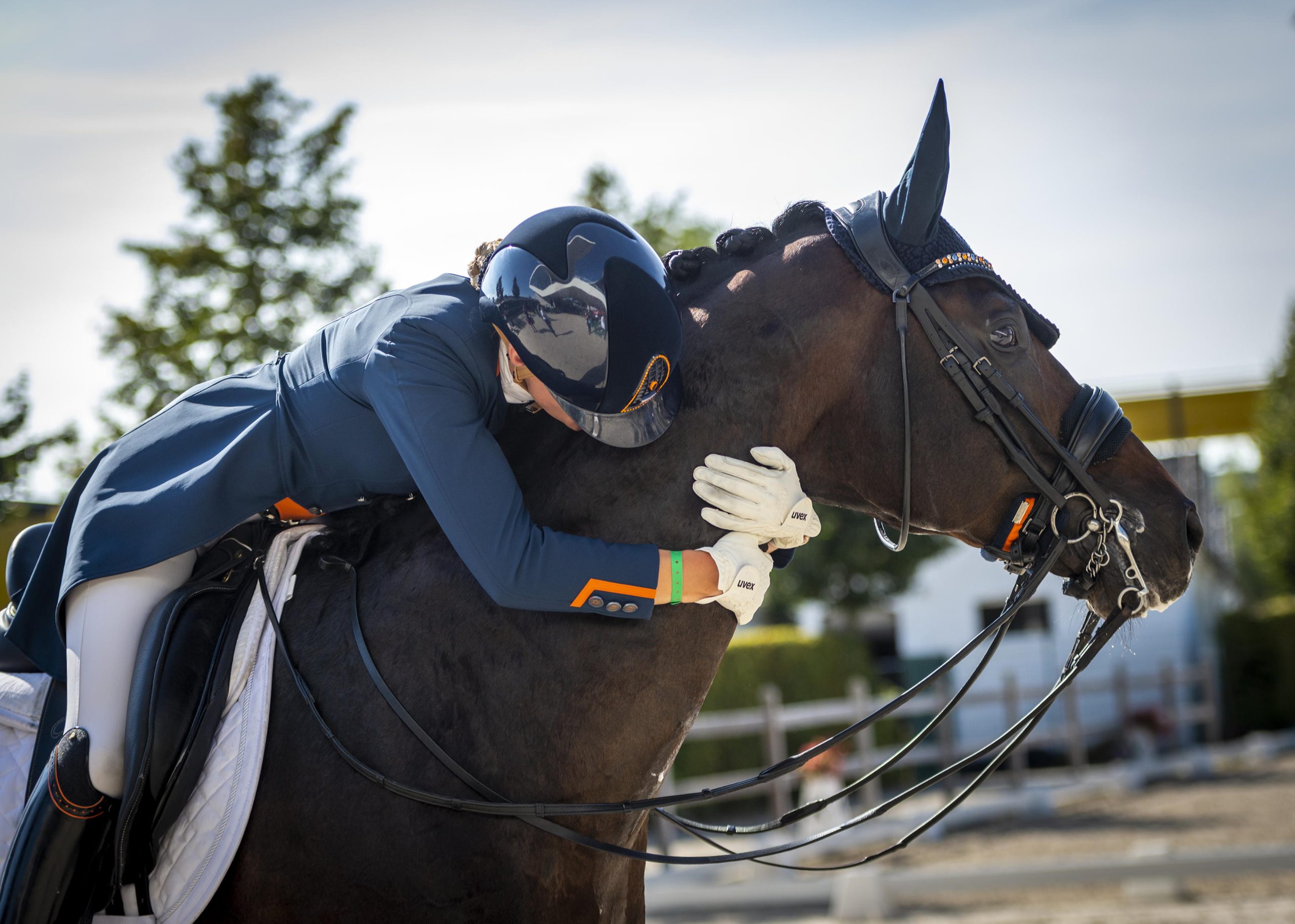 A rider in blue competition dress and helmet lovingly embraces her dark brown horse after a competition. She is wearing white gloves and is still sitting in the saddle. The horse has a plaited mane and a fly bonnet. Trees and riding arena elements can be seen in the background.