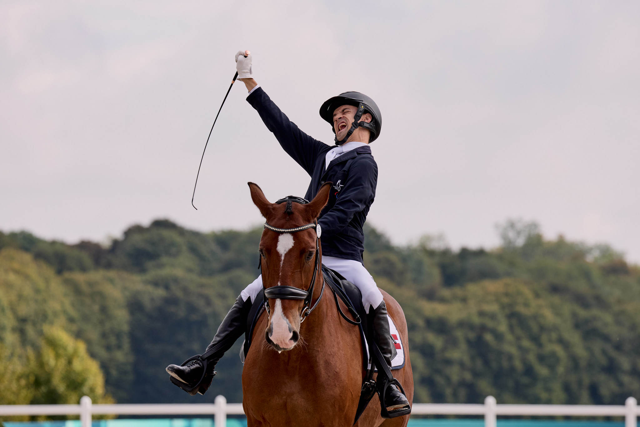  Foto zu Programm - Reit-WM Aachen 2026 