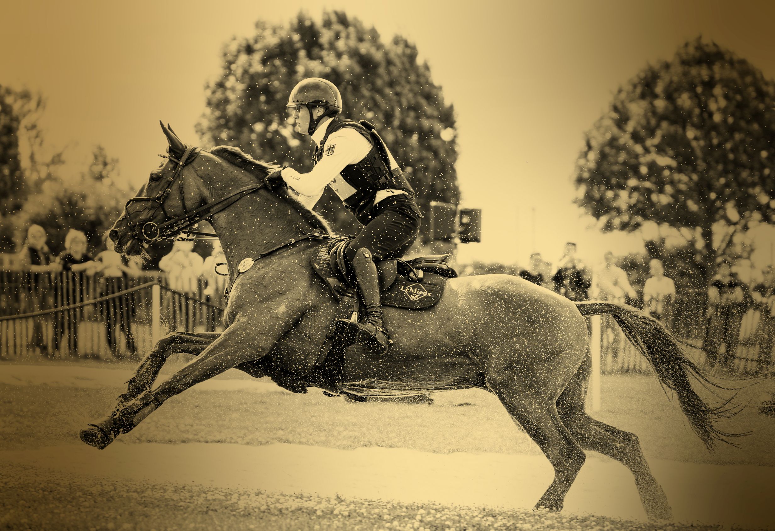 A golden photo of an eventing rider wearing a protective west and helmet, who is riding a bay horse through a water obstacle, splashing water in all directions. In the background, spectators stand behind a barrier, trees and a bright sky can be seen.