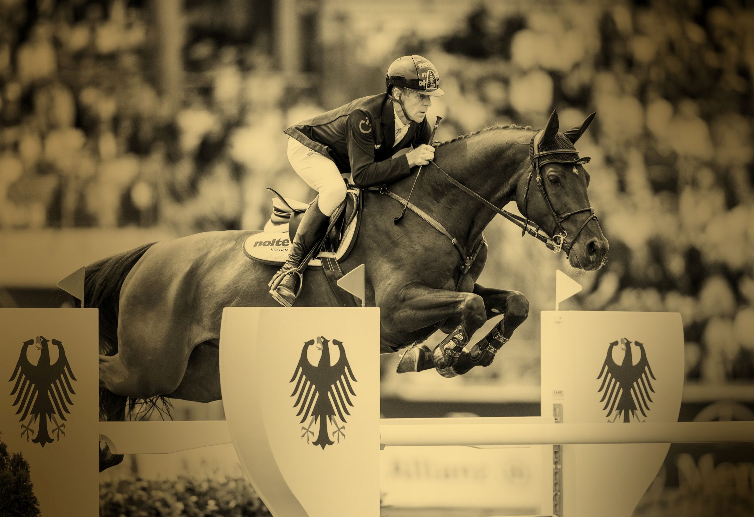 A rider jumps with his horse over an obstacle decorated with the German federal eagle. Many spectators can be seen blurred in the background. The entire picture is bathed in a golden colour, which gives it a warm, nostalgic and special atmosphere.