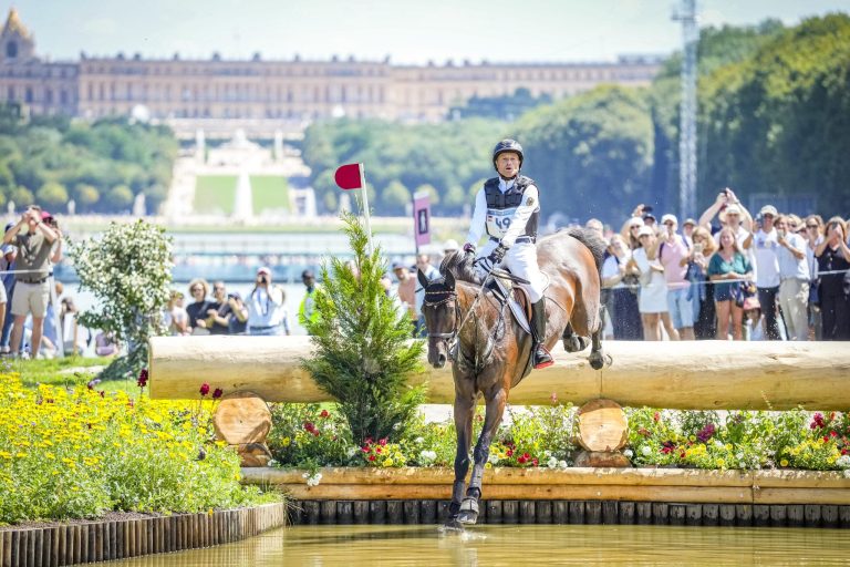 Michael Jung, dressed in white competition attire with a protective vest and start number 49, rides a brown horse over a water obstacle during the cross-country event at the Olympics in Versailles. In the background, numerous spectators stand and photograph the event, behind them is a large park with a magnificent castle. The scene is characterised by summer weather and blooming flowers.