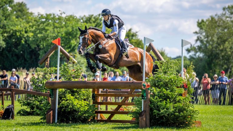 A rider on a brown horse leaps over a solid cross country wooden obstacle surrounded by fir bushes. Spectators stand in the background at the edge of the green field on a sunny day.