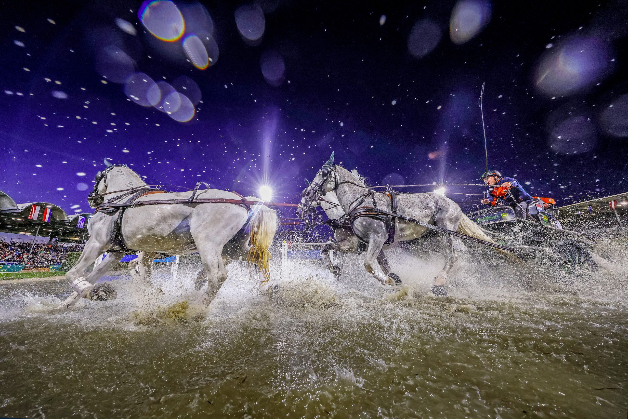 Four grey horses dynamically pull a carriage through a water obstacle at night, while water splashes in all directions. Floodlights, stands with spectators and waving flags can be seen in the background. The scene is dramatically characterised by spotlights and raindrops in the light.