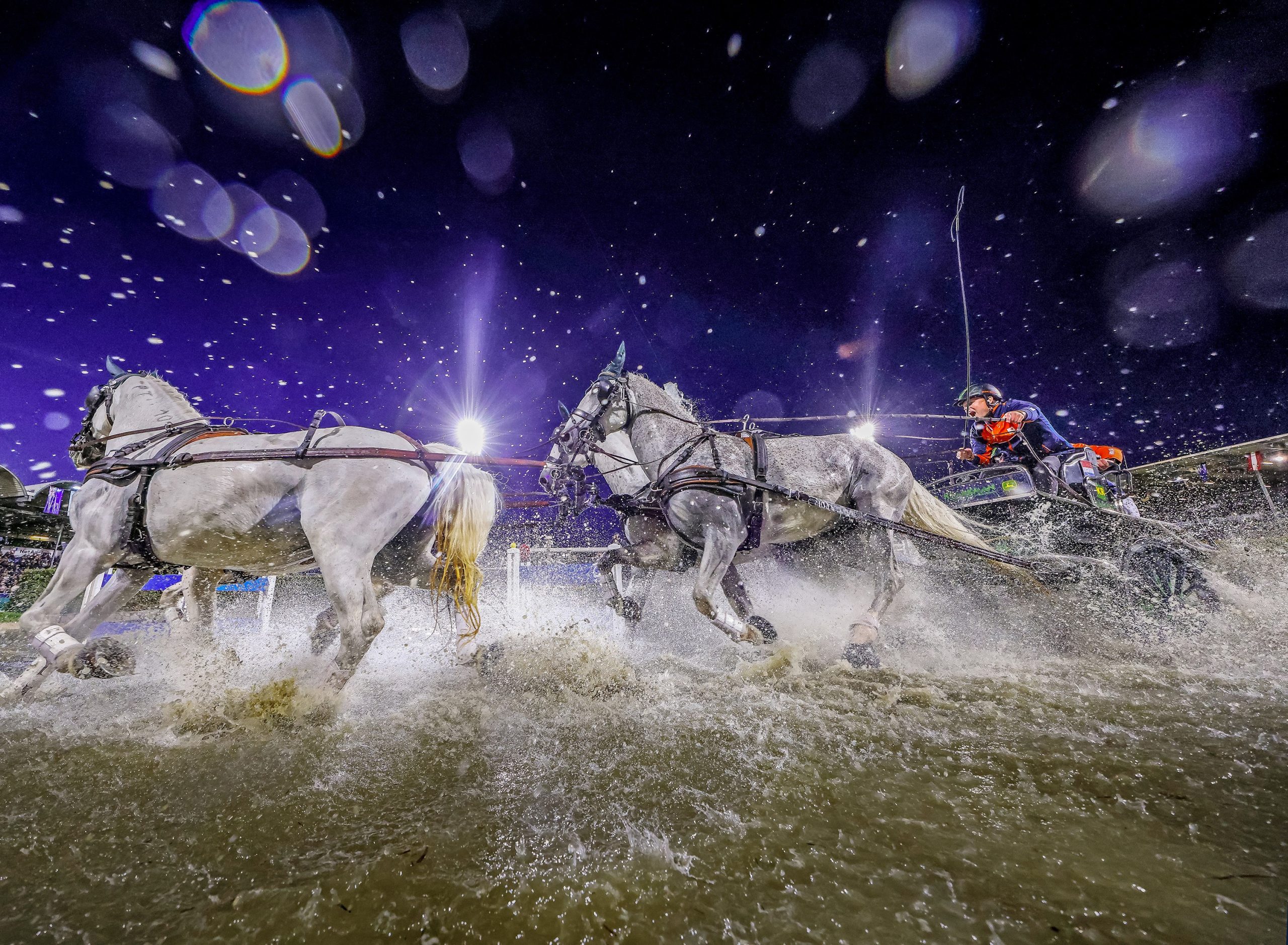 Four grey horses dynamically pull a carriage through a water obstacle at night, while water splashes in all directions. Floodlights, stands with spectators and waving flags can be seen in the background. The scene is dramatically characterised by spotlights and raindrops in the light.