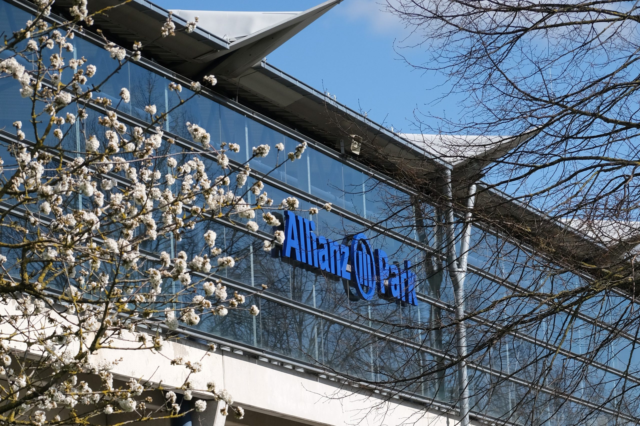 Glasfassade eines Gebäudes mit dem blauen Schriftzug „Allianz Park“; im Vordergrund sind blühende Zweige und kahle Äste vor blauem Himmel zu sehen.