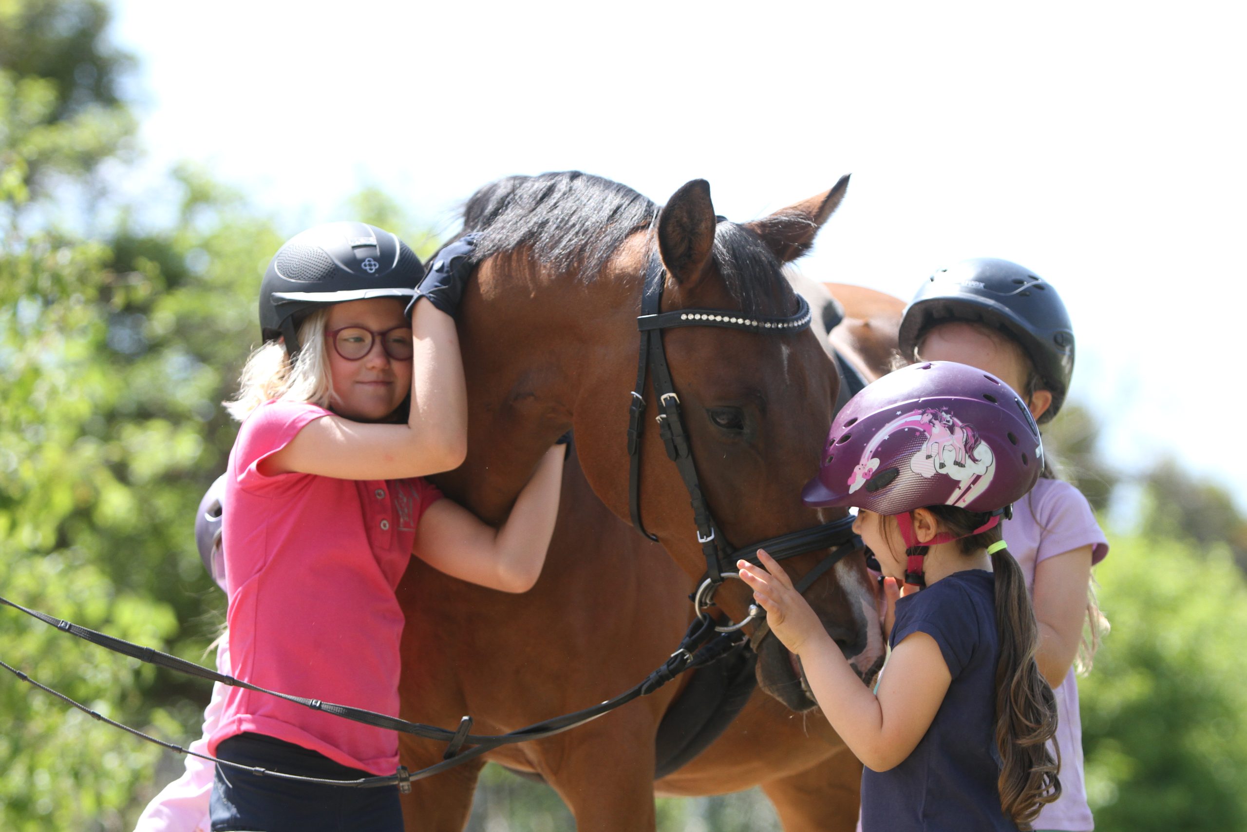 Three children wearing riding helmets are standing outside, gathered around a brown school horse and stroking it; a girl in pink is hugging the horse’s neck.