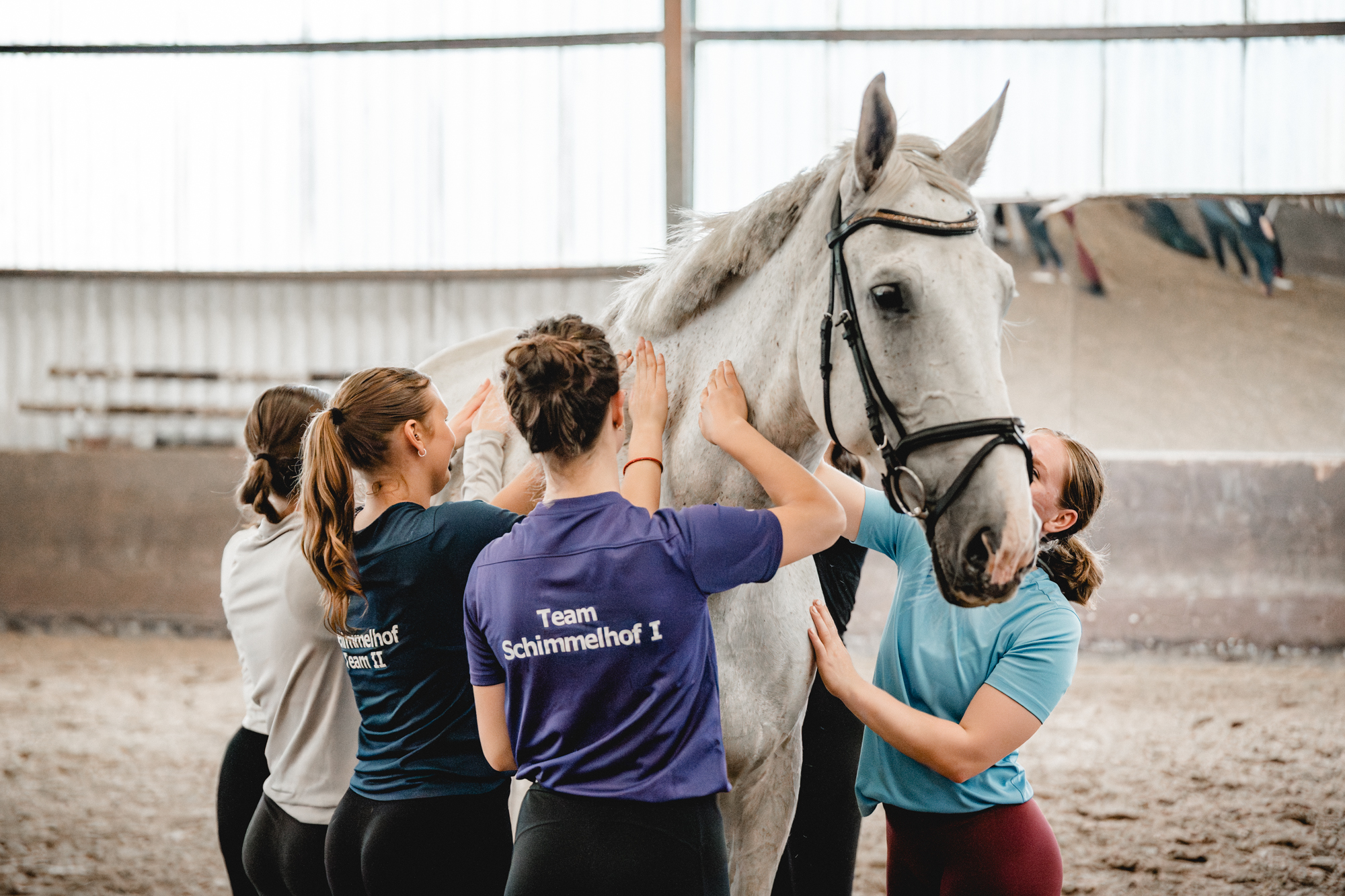 In an indoor riding arena, a grey school horse wearing a bridle stands still whilst four girls in sportswear praise it from either side.