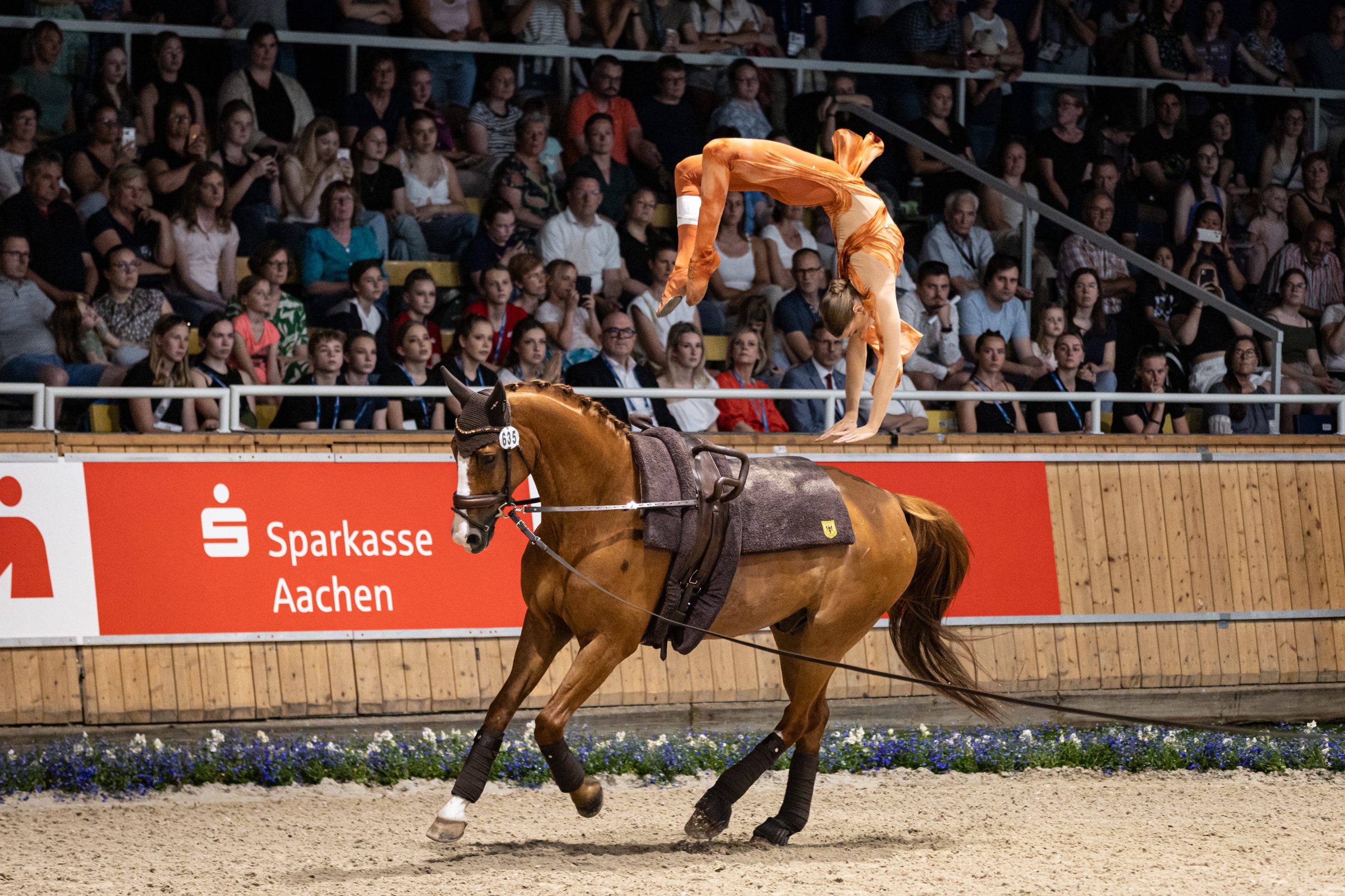A vaulting scene in an indoor arena: A brown horse is galloping on a lunge line while a vaulter in an orange leotard performs a spectacular backward somersault over its back; in the background, many spectators are seated in the stands, and a red banner bears the words “Sparkasse Aachen.”