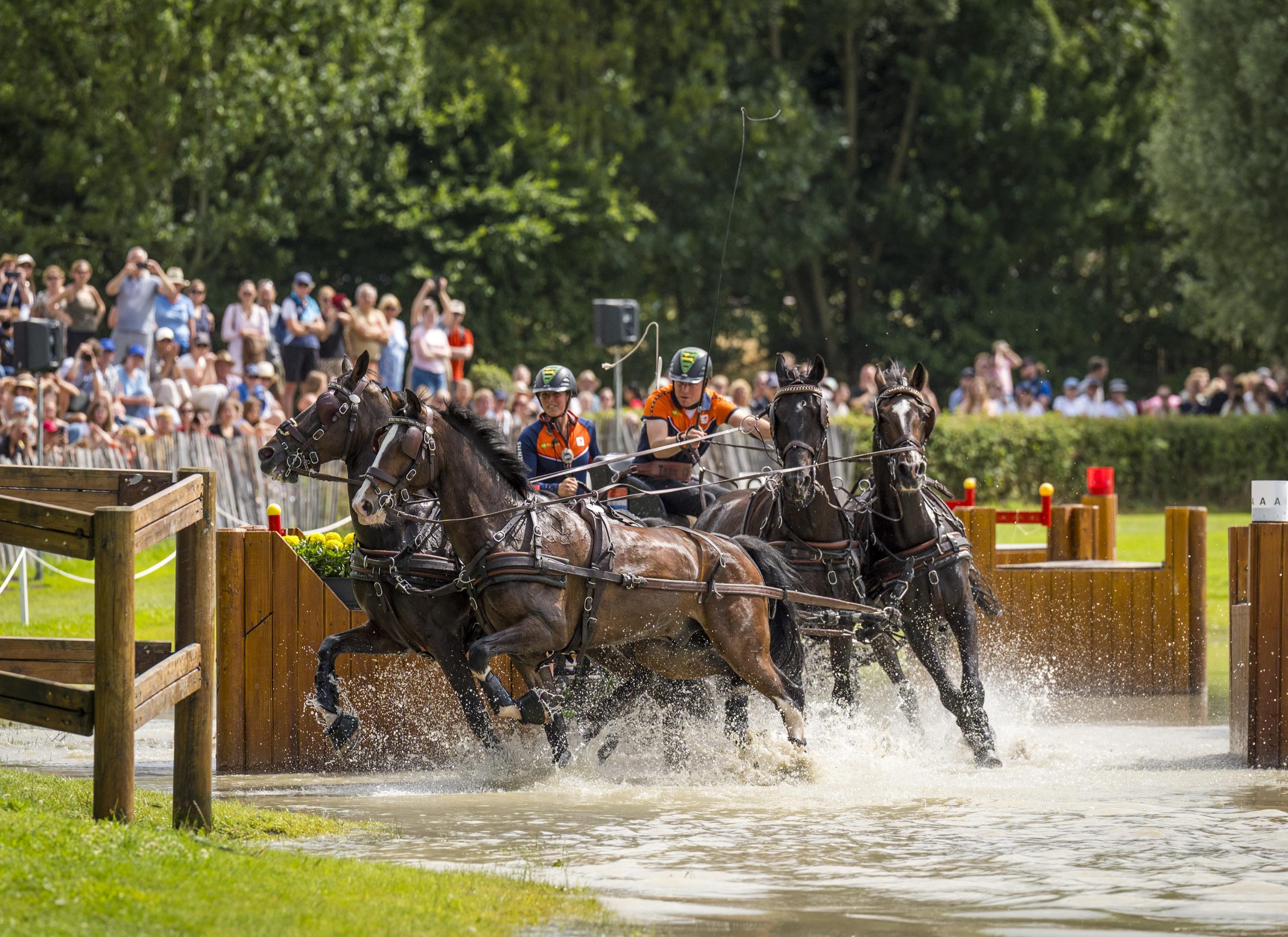 Four-in-hand carriage driving team: carriage with driver and navigator in orange team outfits galloping through a water obstacle in front of a large crowd in a green park setting.