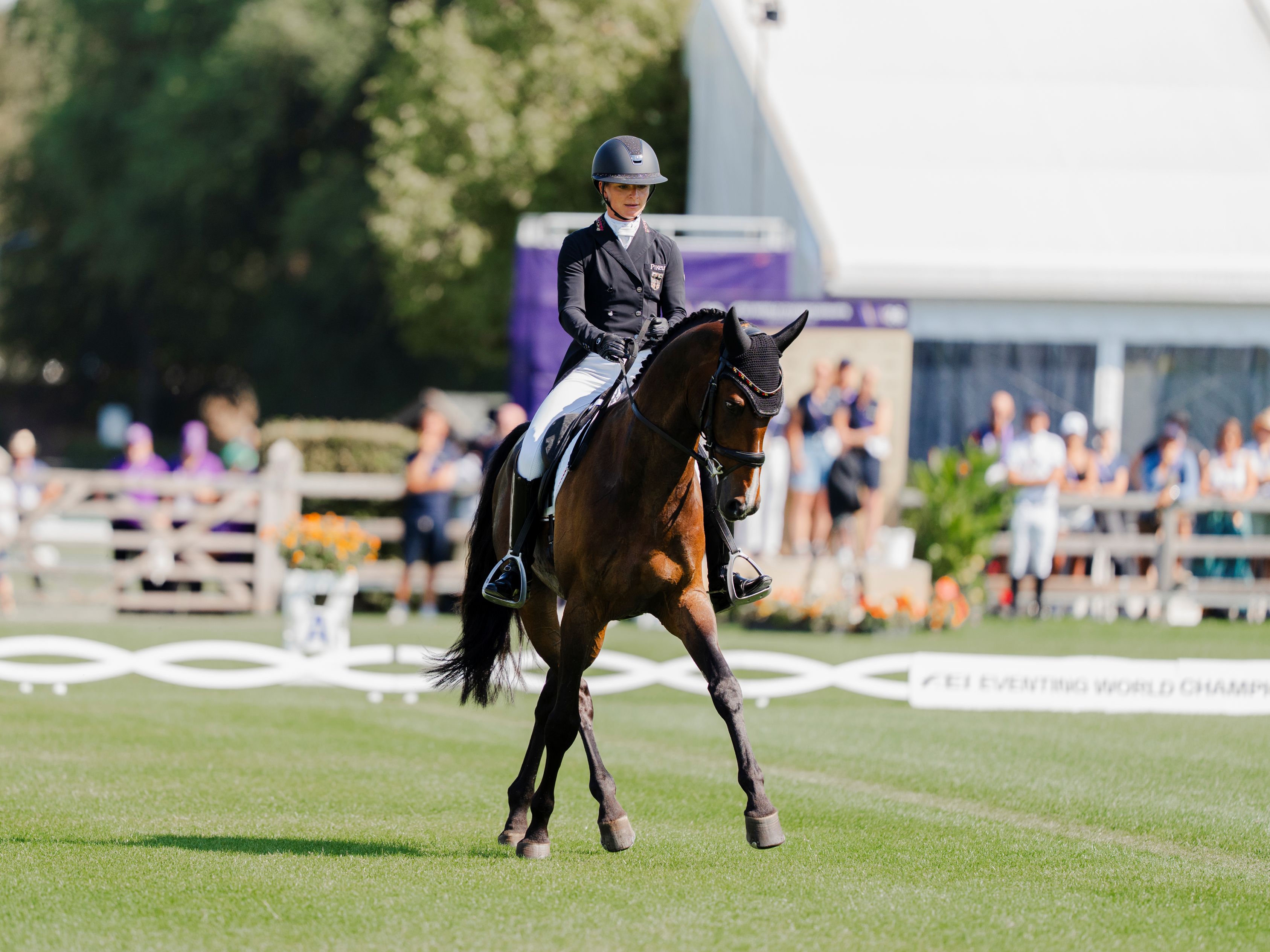 A rider in black competition attire is riding a bay horse in a dressage test on a well-maintained grass arena, with spectators, floral displays and event marquees in the background.