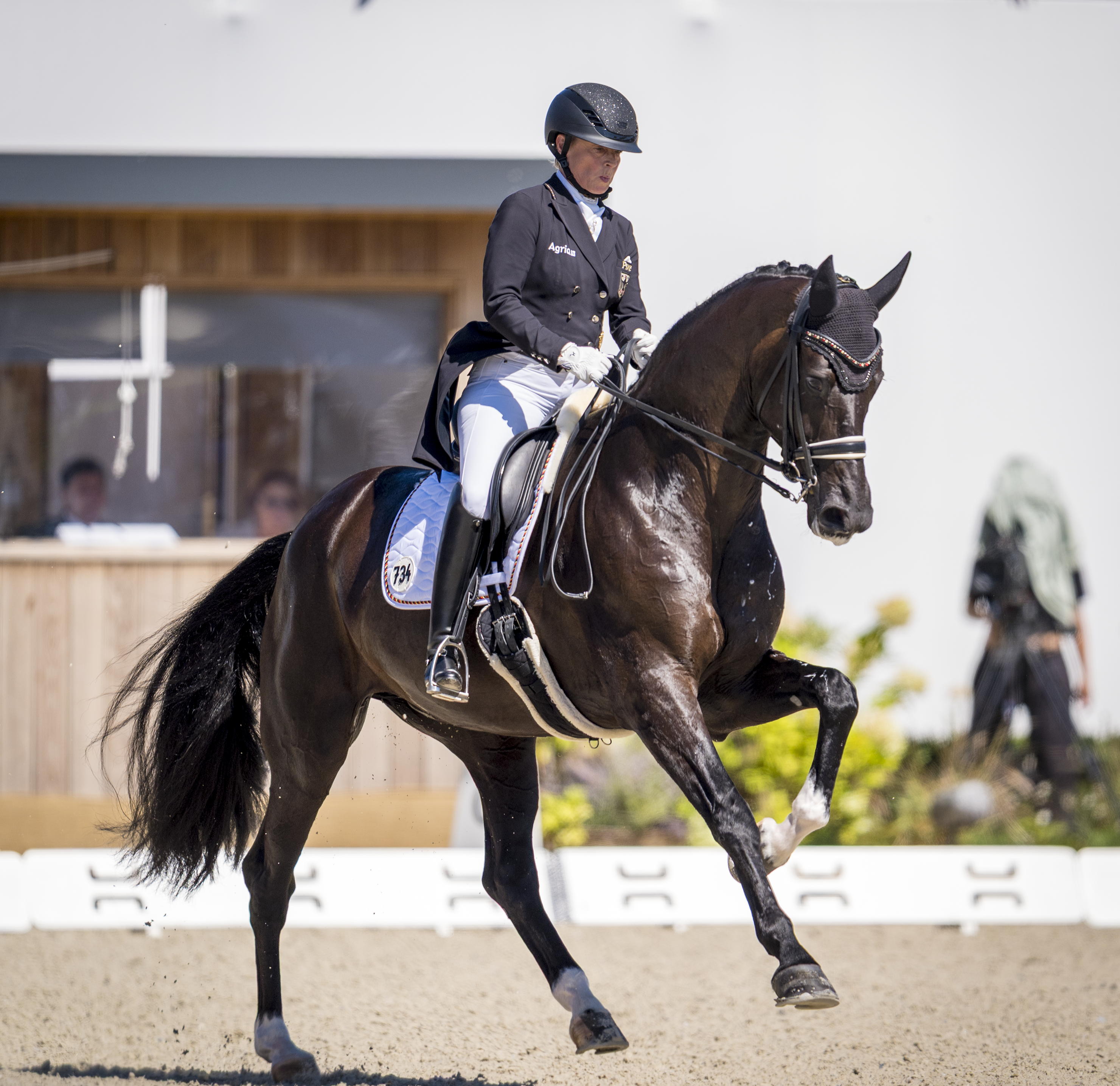 A rider in a black dressage tunic and helmet is riding a dark-coloured dressage horse in a strong canter around the arena; the horse is clearly pushing off with its front legs raised; in the background, the judges’ box and blurred spectators can be seen.