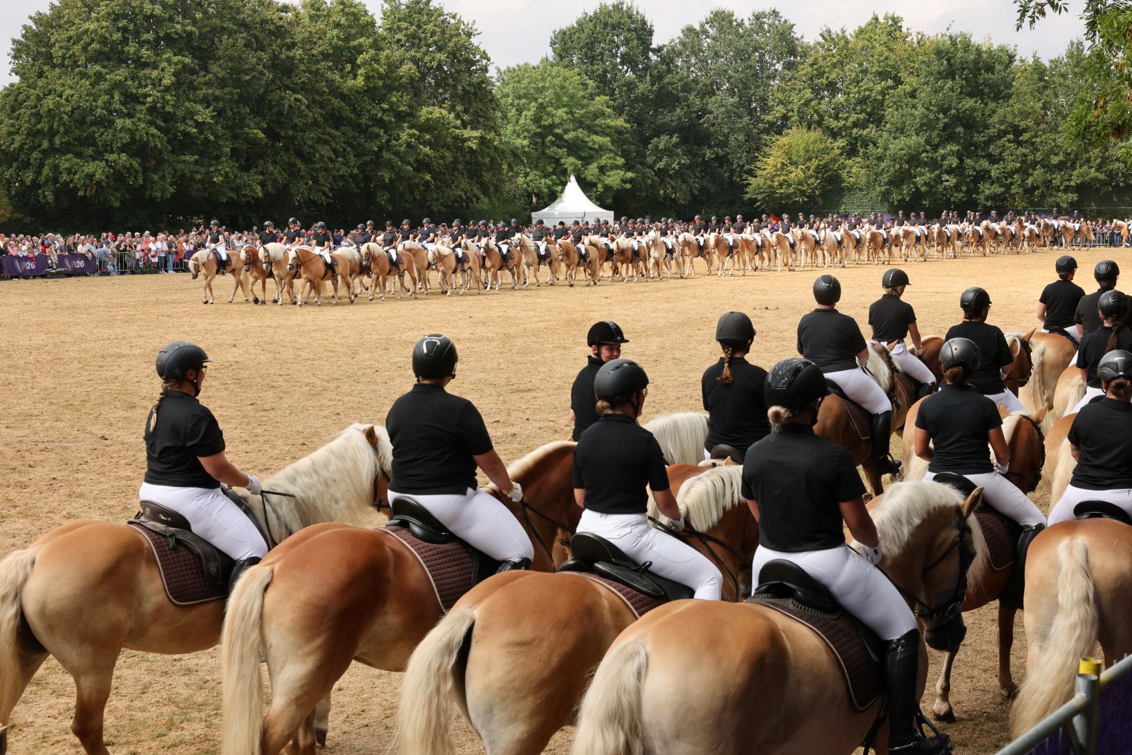 Riders on numerous light-brown Haflingers are gathered in formation on a riding arena; in the foreground is a group wearing black T-shirts and white riding breeches, whilst in the background there is a long line of other pairs set against a backdrop of trees, with many spectators lining the edge.