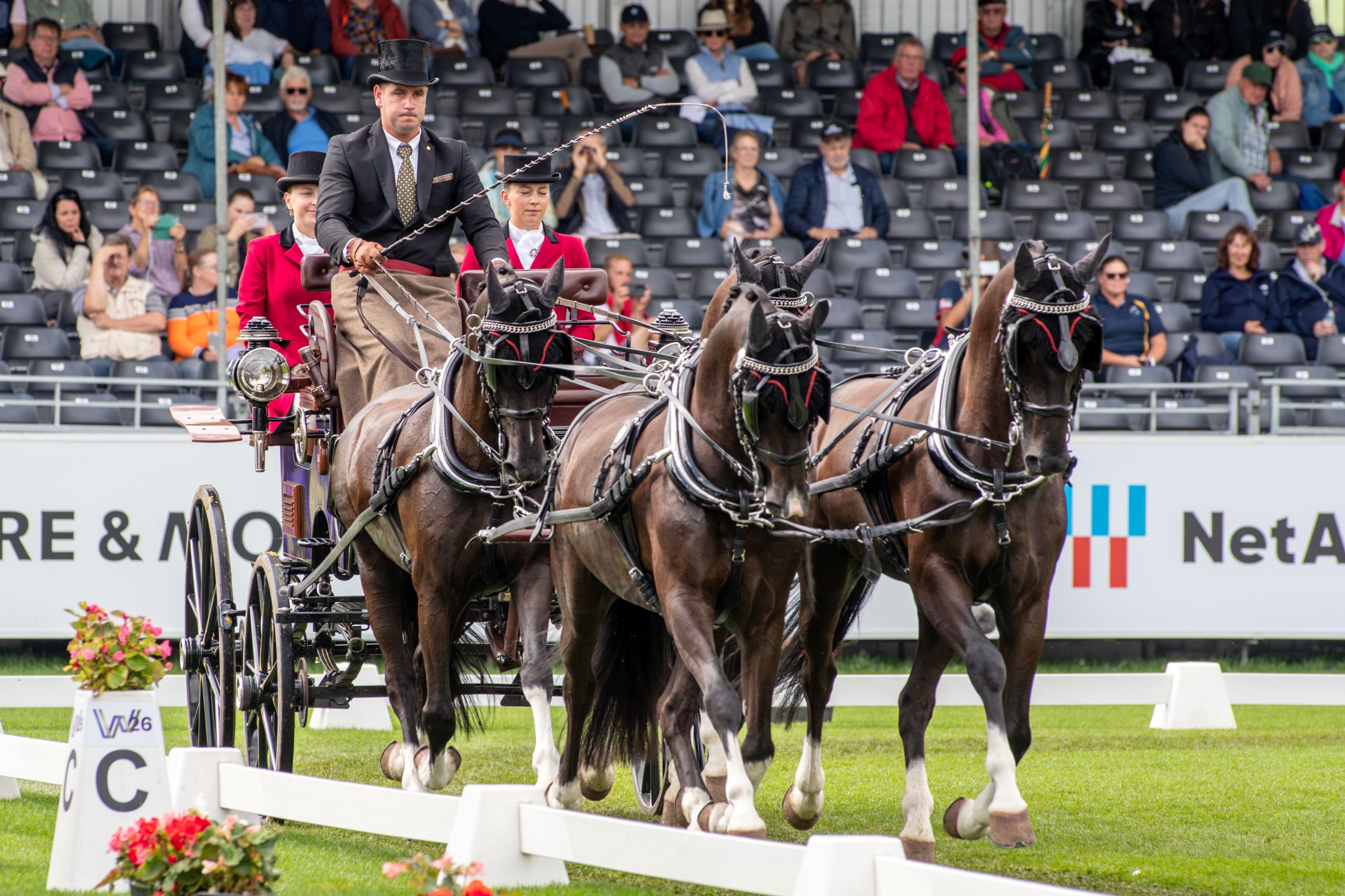 A driver in a black top hat steers a four-in-hand carriage across the grassy square. Two female passengers in red jackets are seated behind him. In the background, spectators watch the ride from the stands.